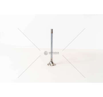 Outlet valve DC 11/12/16 - P,G,R,T/4-SERIES 45° 1 GOLA EX Mec-Diesel