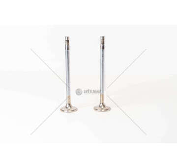 Outlet valve DC13.05/06/07/DC16.09-P,G,R,T-SERIE4 GOLE EX Mec-Diesel