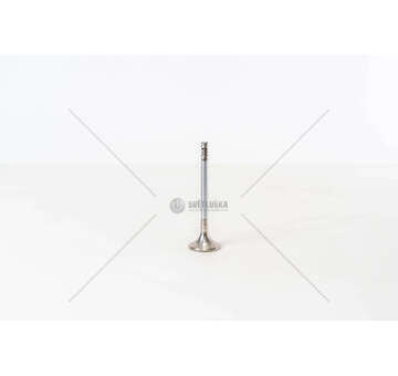 Outlet valve DISCOVERY/DEFENDER 2.5TDI-TD5- 5 CYL EX Mec-Diesel