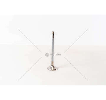 Outlet valve DN/DS 11/DSC 11/14 - 3-SERIES 45° EX Mec-Diesel