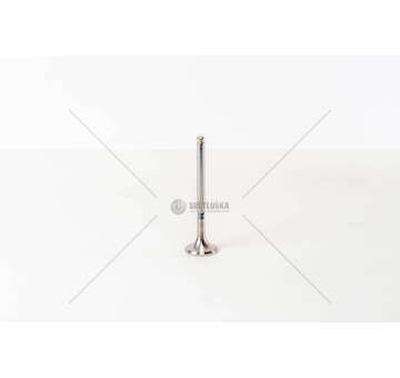 Outlet valve DUCATO-PUNTO-TIPO-145 1.9 TD EX Mec-Diesel