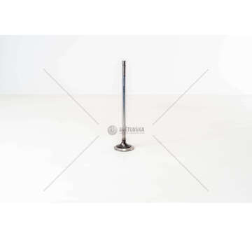 Outlet valve F1AE0481 - DAILY 35C10/S10 - EX Iveco