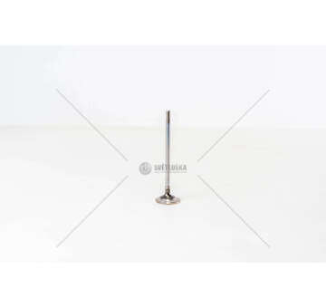 Outlet valve F1CE0441A/CNG -DAILY/DUCATO 3.0 GASEX Iveco