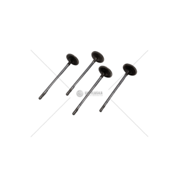 Outlet valve F1CE0481A - DAILY 35C14 - 3.0 JTD - EX Iveco