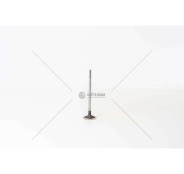 Outlet valve F1CGL411C - DAILY 3.0 E6 BI-TURBO EX Iveco