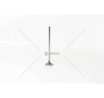 Outlet valve F2BE0681/3681 - CURSOR 8 - STRALIS EX Iveco