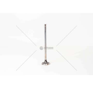 Outlet valve F2CE9687 - CURSOR 9 EX 39X8X Iveco