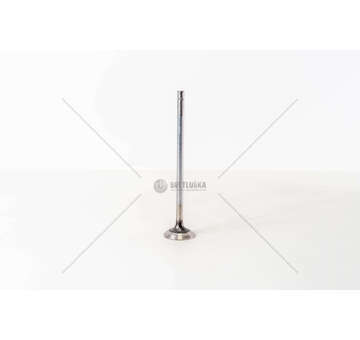 Outlet valve F2CFE601/611 - STRALIS EURO 6 EX Mec-Diesel