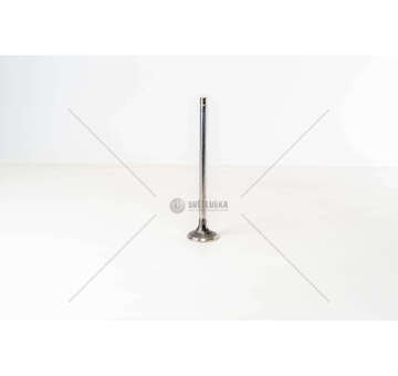 Outlet valve F3BE0681/3681 - CURSOR 13 - STRALISEX Iveco