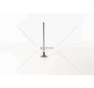 Outlet valve F3GFE611 - CURSOR 11 - STRALIS EX Iveco