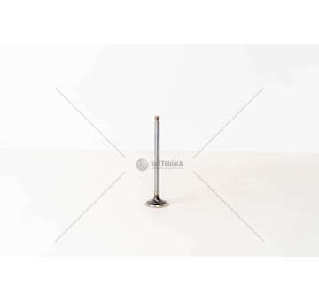 Outlet valve F4AE0481/F4AE0681 - MAGG.+0,10 EX Mec-Diesel