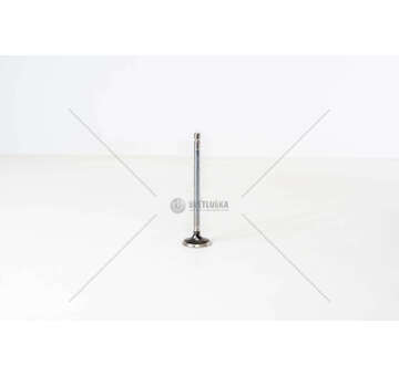 Outlet valve F4AE0481/F4AE0681 - TECTOR EX Iveco