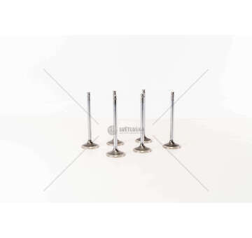 Outlet valve F4BE0641/N60 - NEF 6 CNG - EX Iveco