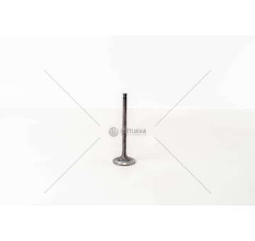 Outlet valve F4BE0641/N60 - NEF 6 CNG - EX Mec-Diesel