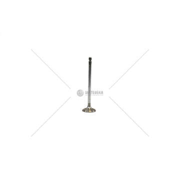 Outlet valve F4DFE617/F4DGE617 NEF - 33 X 7 X L.124,78 EX Mec-Diesel