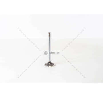 Outlet valve F4GE0484/0684 EX Mec-Diesel