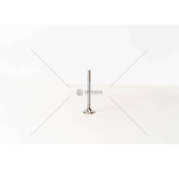 Outlet valve FIESTA 1800 D GAMBO >2/10 EX Mec-Diesel