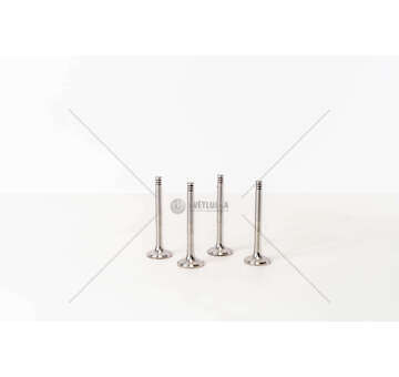 Outlet valve GOLF 1.9 TDI - LT/TRANSPORTER 2.5 TDI EX31.5 Mec-Diesel