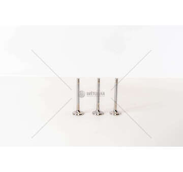 Outlet valve GOLF 1900 TD D.31,2 ST.8 L.95, 5 EX 45° Mec-Diesel