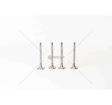 Outlet valve GOLF-2000TDI-16V-25.5X6X87.5 - EX Mec-Diesel