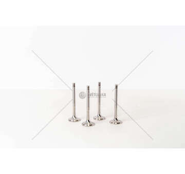 Outlet valve GOLF/POLO 1.9 TDI - STELO 7 - EX SKODA Mec-Diesel