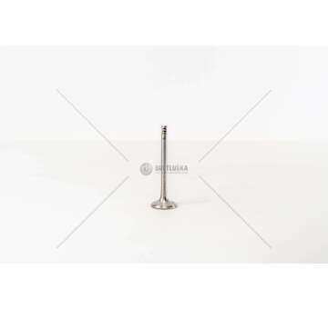 Outlet valve GOLF/VARIANT/VENTO 1.9 TDI EX Mec-Diesel