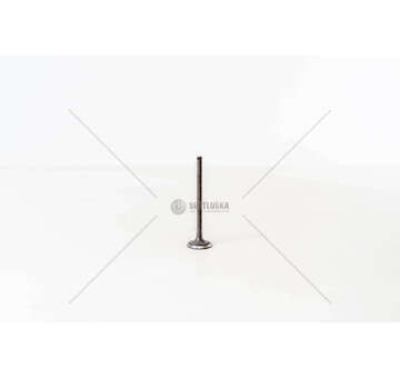 Outlet valve I20 1.4 16V G4FA Mec-Diesel