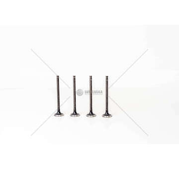 Outlet valve Ignis 1.3 16V J M16A Mec-Diesel