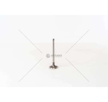 Outlet valve JUMPY/ULYSSE/BOXER 2.0HDI 16V L106.2 EX Mec-Diesel