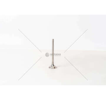 Outlet valve KANGOO/MEGANE F9Q - 1.9 DTI/TD CI EX Mec-Diesel