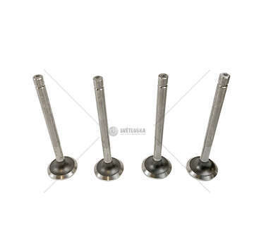 Outlet valve LADA NIVA 1.600 EX Mec-Diesel