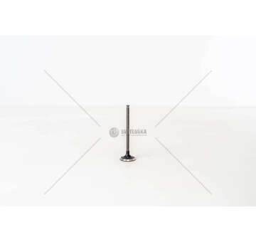 Outlet valve M 132.910/930 - FORTWO 1.0 EX Mec-Diesel