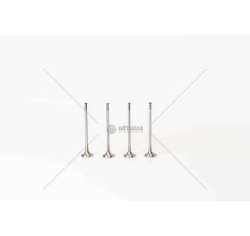 Outlet valve M1CA/P4JA/SFCA - FOCUS/FIESTA 1.0 EX Mec-Diesel