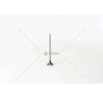 Outlet valve MASTER/TRAFIC 2.5DCI 16V G9T/G9U EX. Mec-Diesel