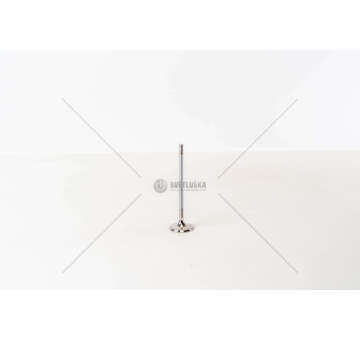 Outlet valve MATIZ 800/1000 - AVEO 1.2 GAS EX Mec-Diesel