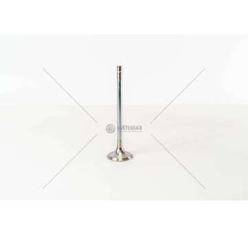 Outlet valve MIDR 06.20.45D41/06.23.56A/B41 EX Mec-Diesel