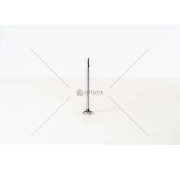 Outlet valve Mini One 90cv M R50 EX Mec-Diesel