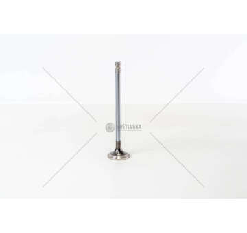 Outlet valve MX-13 303/340/375 - CF/XF EURO 5/6 EX Mec-Diesel