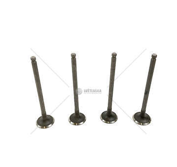 Outlet valve MX3 1.6i 16V MX EX Mec-Diesel