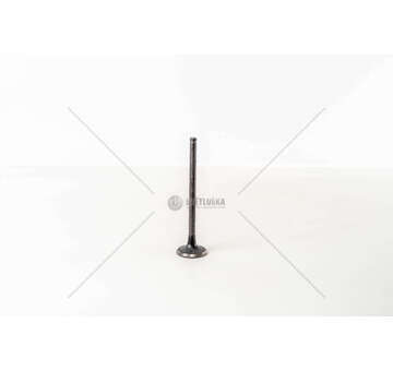 Outlet valve OM 100/120 - CN3/CP3/673 EX +0,7MM Mec-Diesel