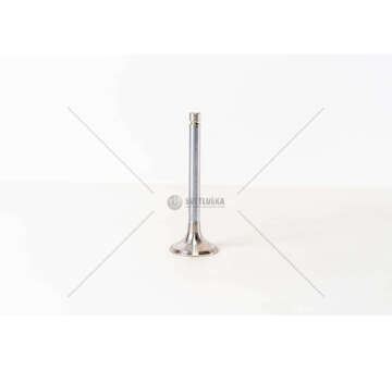 Outlet valve OM 401/2/3/4/21/22/23 COLL.8 F .TONDO EX Mec-Diesel