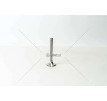 Outlet valve OM 401/402/403 COLL.8 - FERMO QUADRO EX Mec-Diesel