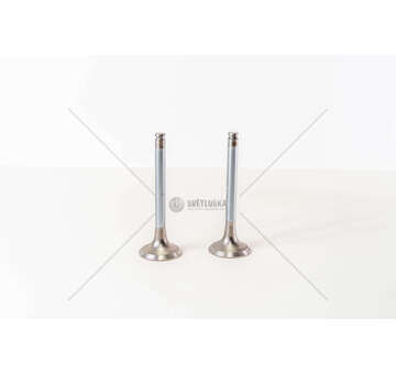 Outlet valve OM 421/422/423 - COLL. 2 - EX Mec-Diesel