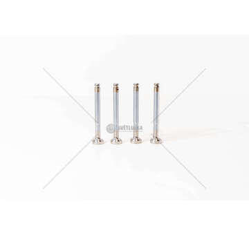 Outlet valve OM 457/501/502 - ACTROS/AXOR EX Mec-Diesel