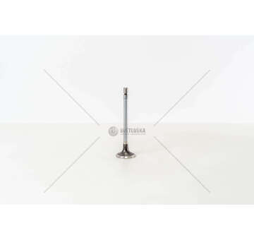 Outlet valve OM 541/542 EURO 4/5 LUNG.145 - 35° EX Mec-Diesel