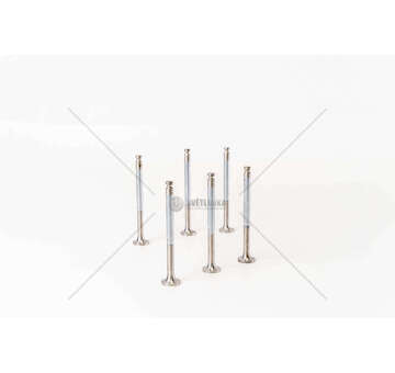 Outlet valve OM 904/906/924/926-ATEGO/AXOR/VARIOEX Mec-Diesel