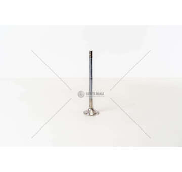 Outlet valve OM 904/906/924/926LA - L.152,6 GAS EX Mec-Diesel