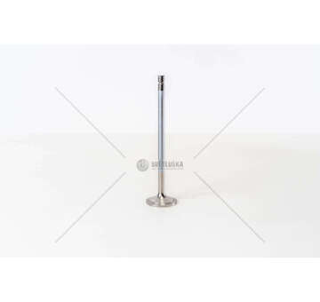 Outlet valve OM902.900/1/2/3 906.900/1/3 LGA/GAS EX Mec-Diesel