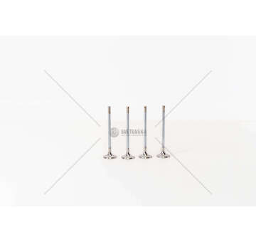 Outlet valve OPEL CORSA 1.0 12V-1.2/1.4 16V GPL EX Mec-Diesel