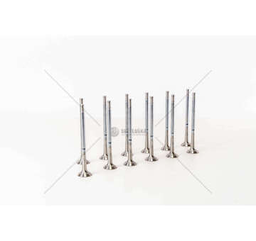 Outlet valve PUNTO 1250/1300MJTD EURO 5 EX Mec-Diesel